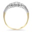 The Eline Ring, smallside view