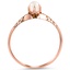 The Pisa Ring, smallside view