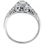 The Serilina Ring, smallside view