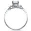 The Oswego Ring, smallside view