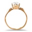 The Erma Ring, smallside view