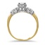The Sandringham Ring, smallside view