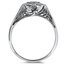 The Lucille Ring, smallside view