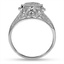 The Akebia Ring, smallside view