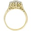 The Isabella Ring, smallside view