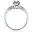 The Shalin Ring, smallside view