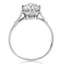 The Illinois Ring, smallside view