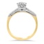 The Golden Gate Ring, smallside view
