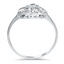 The Angora Ring, smallside view