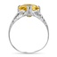 The Fox Ring, smallside view