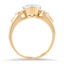 The Tawnya Ring, smallside view