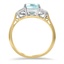 The Juneau Ring, smallside view