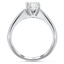 The Liran Ring, smallside view