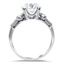 The Parthenia Ring, smallside view