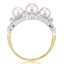 The Riverlane Ring, smallside view