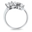 The Kendall Ring, smallside view