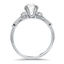 The Dane Ring, smallside view