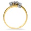 The Dalmata Ring, smallside view