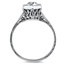 The Blair Ring, smallside view