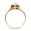 The Badden Ring, smallside view