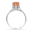 The Saudra Ring, smallside view