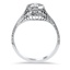 The Lacy Ring, smallside view
