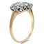 The Barnett Ring, smalltop view on a hand
