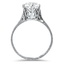 The Alyona Ring, smallside view