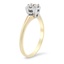 The Ima Ring, smalltop view on a hand