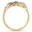 The Mills Ring, smallside view