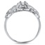 The Leto Ring, smallside view