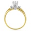 The Dionne Matched Set, smallside view