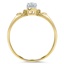 The Louise Ring, smallside view