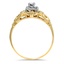 The Edgewood Ring, smallside view
