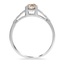 The Mottola Ring, smallside view