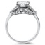 The Caroline Ring, smallside view