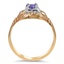 The Eliana Ring, smallside view