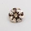 1.10 Ct. Fancy Light  Brown Round Lab Grown Diamond