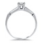 The Windemere Ring, smallside view