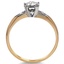 The Calida Ring, smallside view