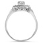 The Boise Ring, smallside view