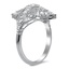 The Pandita Ring, smallside view