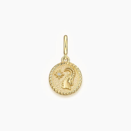 Zodiac Diamond Capricorn Charm