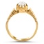The Nahal Ring, smallside view