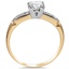 The Niko Ring, smallside view