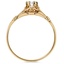 The Ulia Ring, smallside view