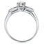 The Deanna Ring, smallside view