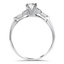 The Ansley Ring, smallside view