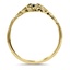 The Shamrock Ring, smallside view