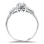 The Britteny Ring, smallside view